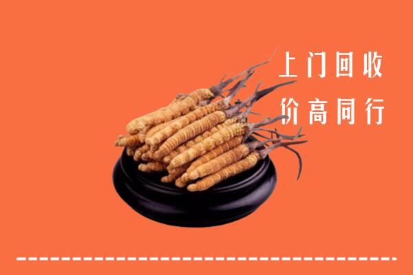 祁县回收散虫草