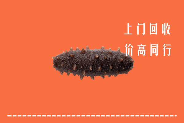 祁县回收海参