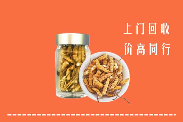 祁县回收冬虫夏草