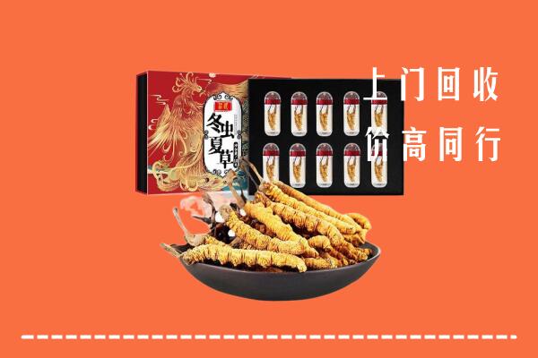 祁县回收虫草